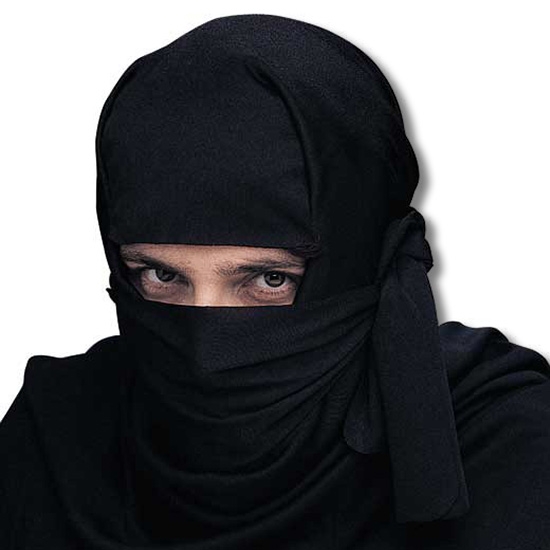 ninja-hood