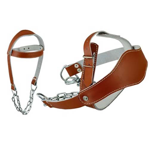 Head Harness (6)